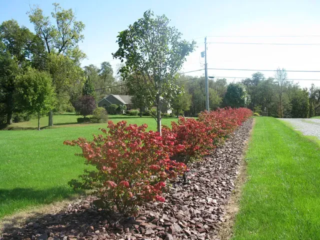 Row of Bushes — Beaver Falls, PA — Vance's Landscape Supply Inc