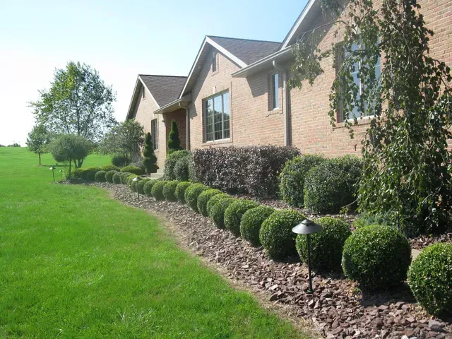 Trimmed Bushes — Beaver Falls, PA — Vance's Landscape Supply Inc