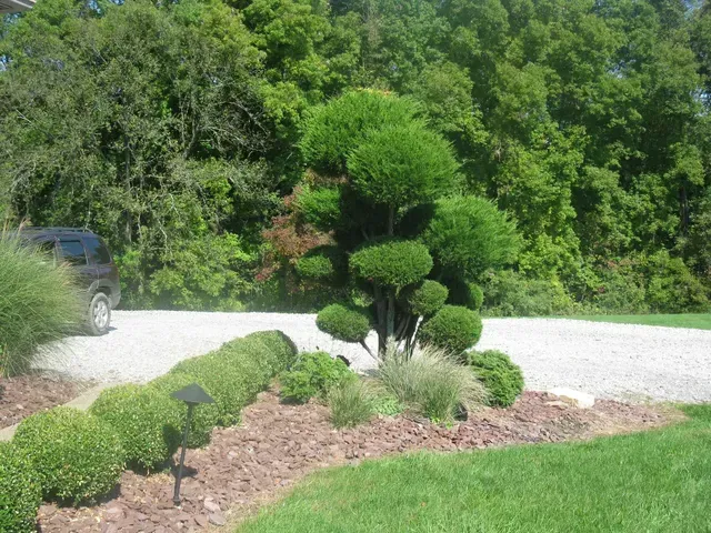 Trimmed Bushes & A Tree — Beaver Falls, PA — Vance's Landscape Supply Inc