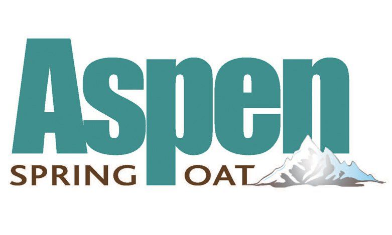Aspen spring oat