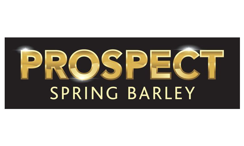 Prospect spring feed barley