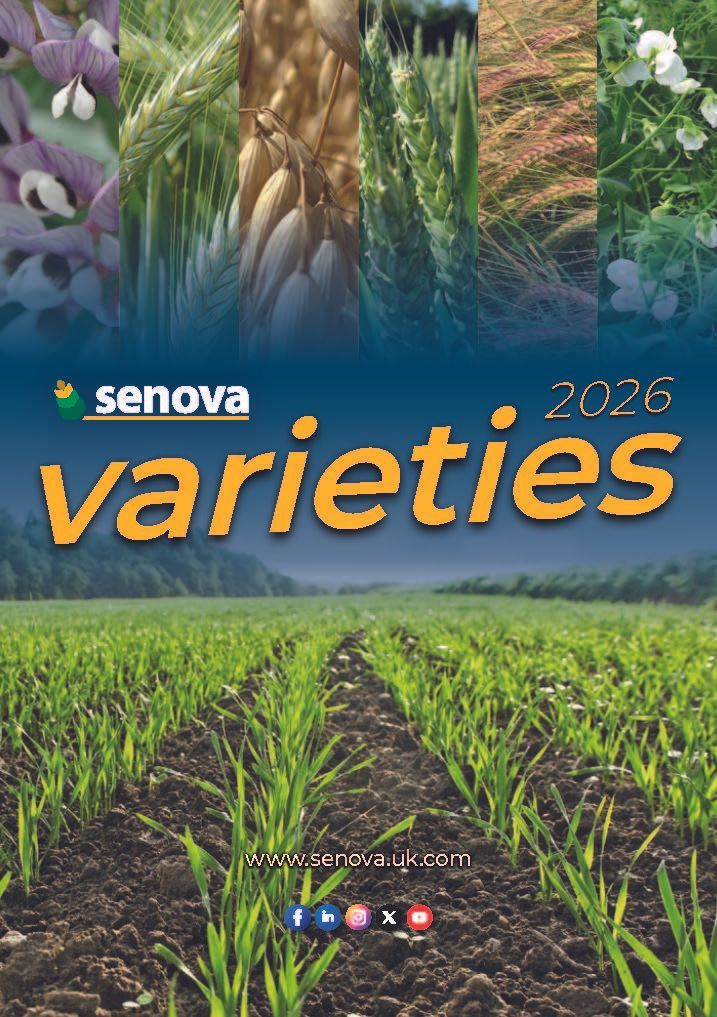 Senova Vairety Book 2025