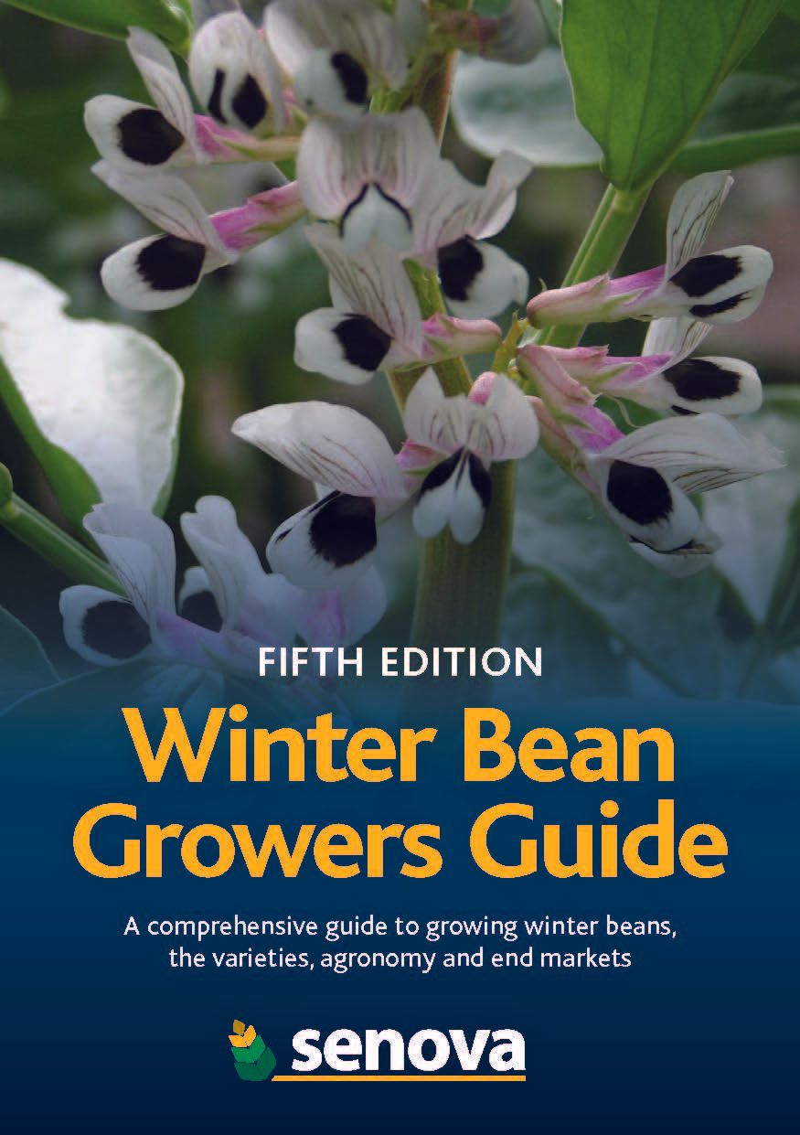 Winter bean growers guide