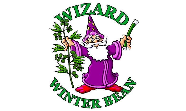 Wizard Winter Bean