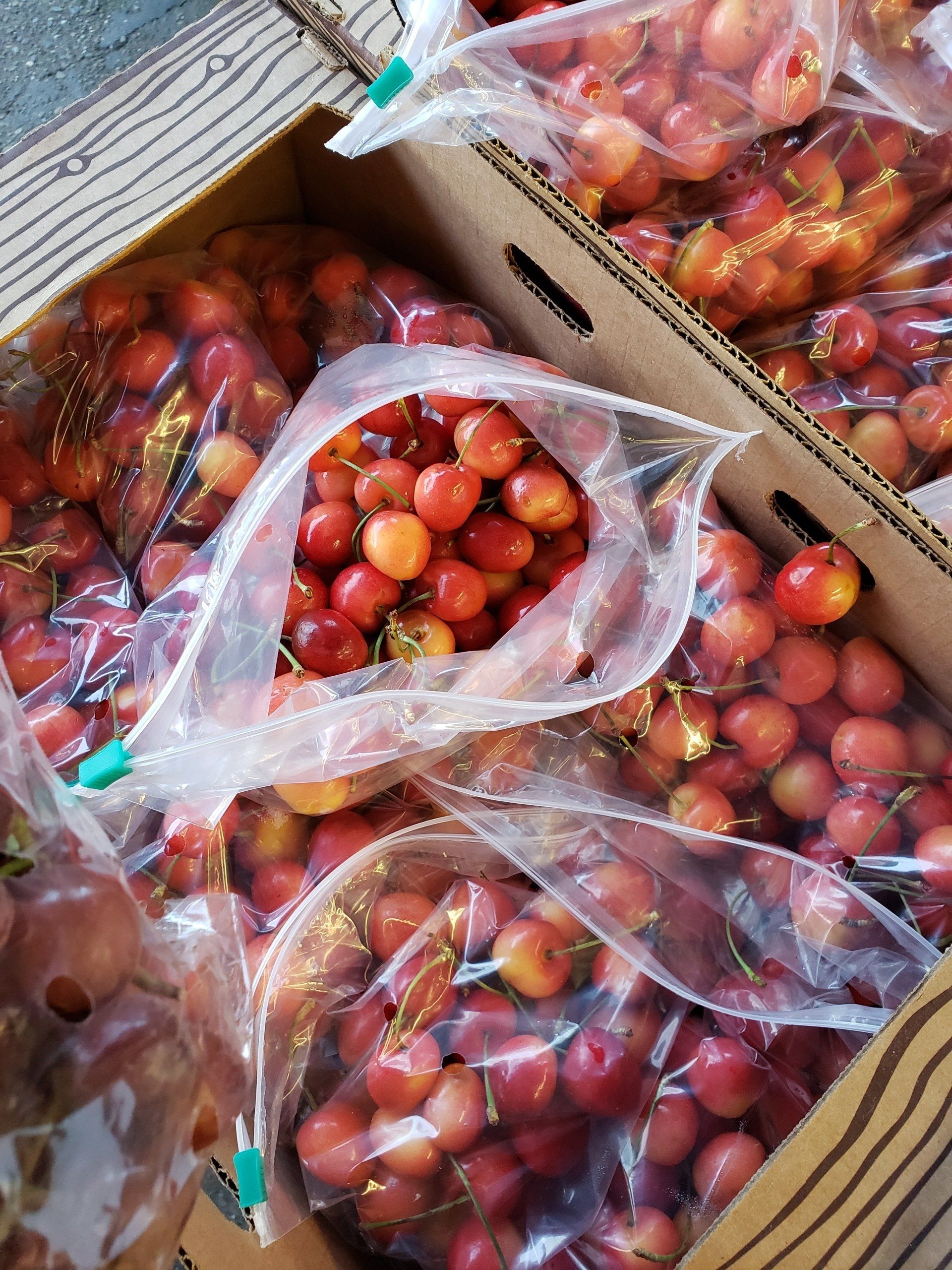 Allview Orchards photo