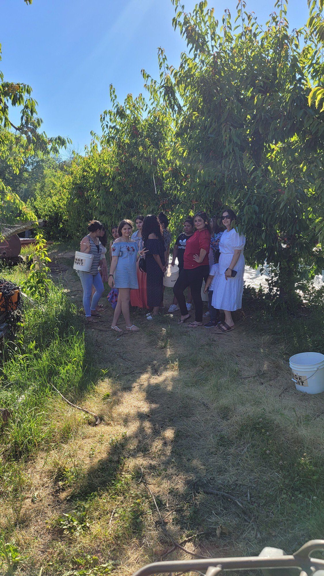 Families visit Allview Orchards