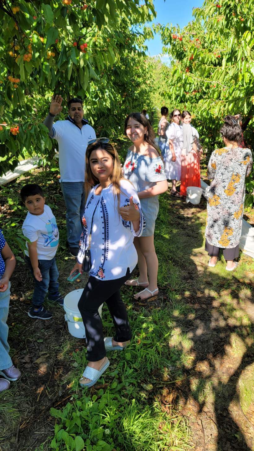 Family Adventure at Allview Orchards