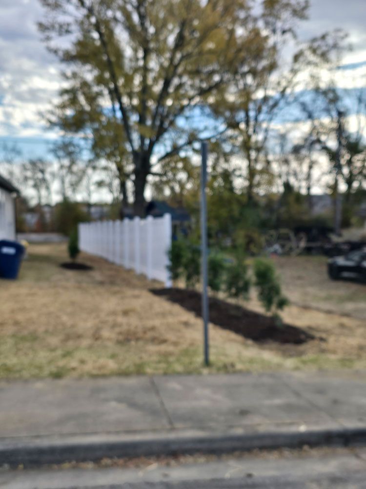 White fence bordering a yard with brown soil and sparse grass, trees in the background, blue bin.