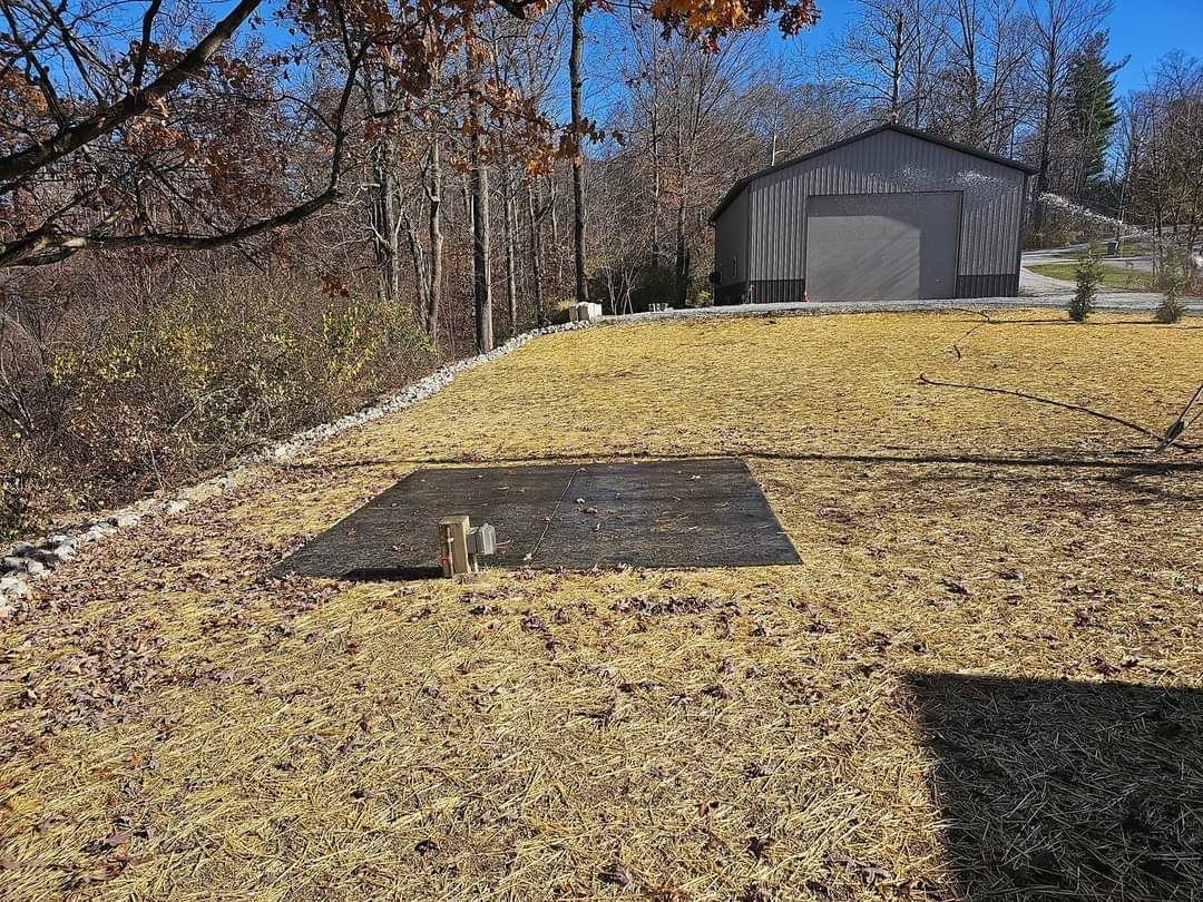 Grassy yard with a dark shed, surrounded by trees.