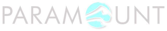 A blue and white logo for paramount on a white background.