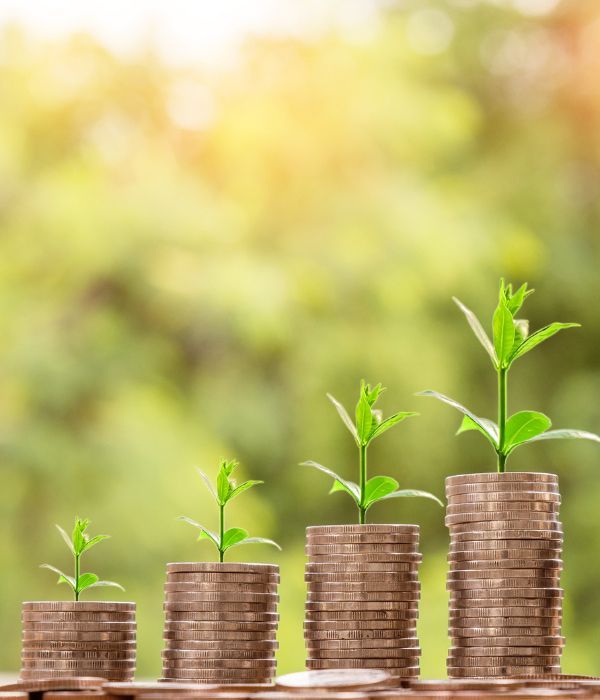 stacks of coins with plants growing out of them - investment property development loans gold coast