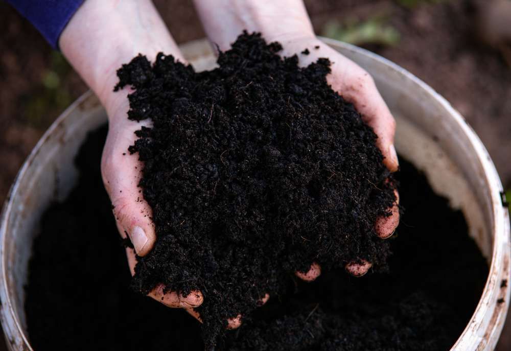 A Person Is Holding A Pile Of Black Dirt In Their Hands — HKL Landscape Supplies in Coolongoolook, NSW