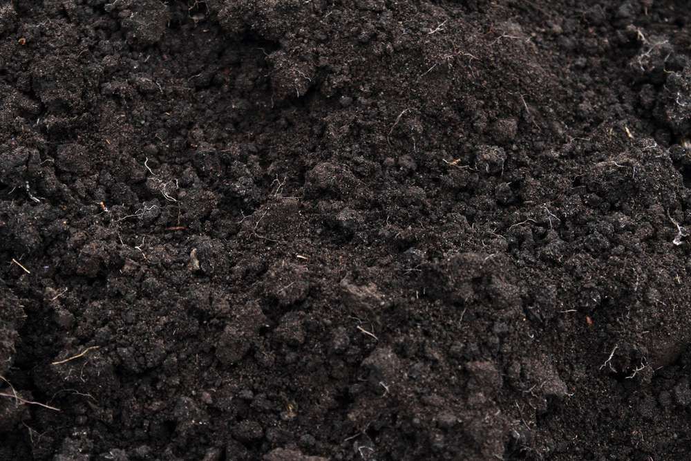 A Close Up Of A Pile Of Black Soil — HKL Landscape Supplies in Gloucester, NSW 