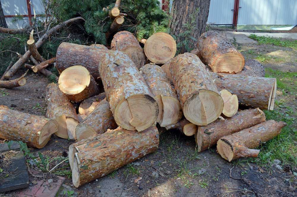 A Pile Of Logs Is Sitting On The Ground Next To A Tree — HKL Landscape Supplies in Wingham, NSW 