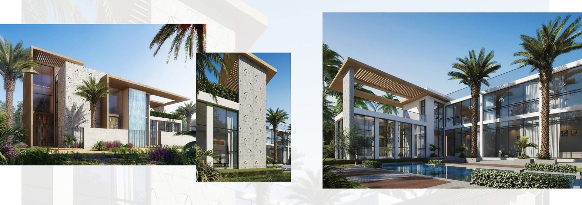 Modern architecture rendered on a sunny day, showcasing a house with a pool and palm trees.