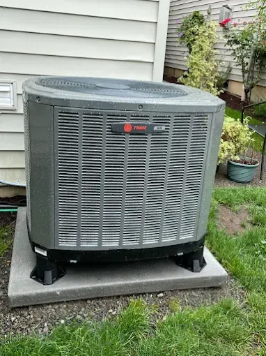 A Trane outdoor air conditioning unit sits on a concrete pad next to a house with beige siding and nearby garden plants.