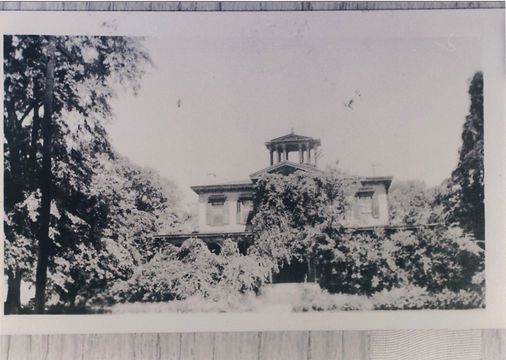 A black and white photograph of a large, two-story house with a cupola, surrounded by lush, overgrown trees and shrubs.