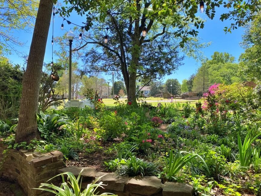 A lush garden with a stone retaining wall in the foreground, illuminated by string lights hanging beneath a large tree.