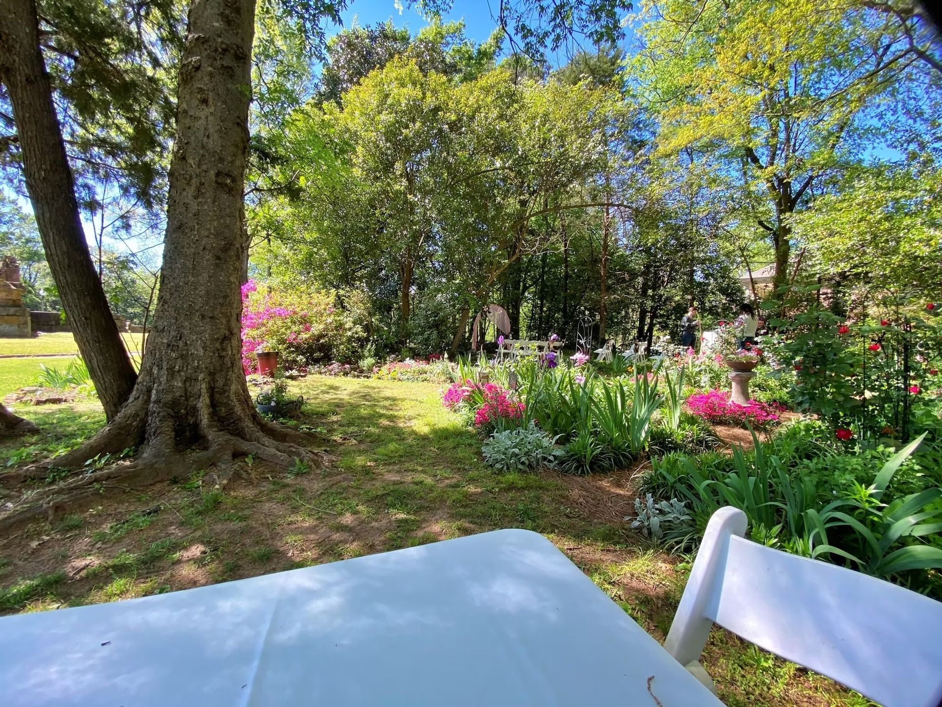 historic-tuscaloosa-image