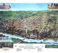 historic-tuscaloosa-meet-our-service-area-image