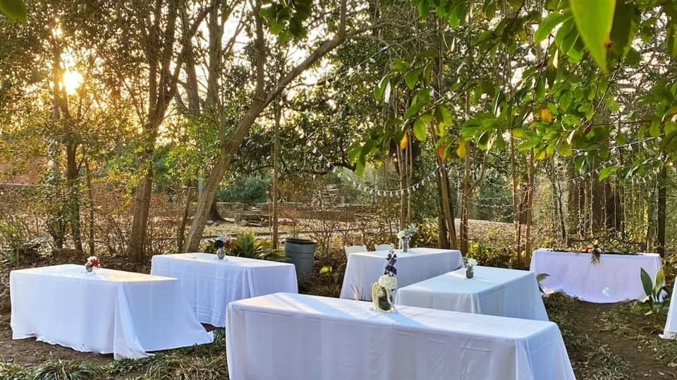 Rectangular tables with white tablecloths arranged in a sunlit, tree-filled outdoor garden setting.