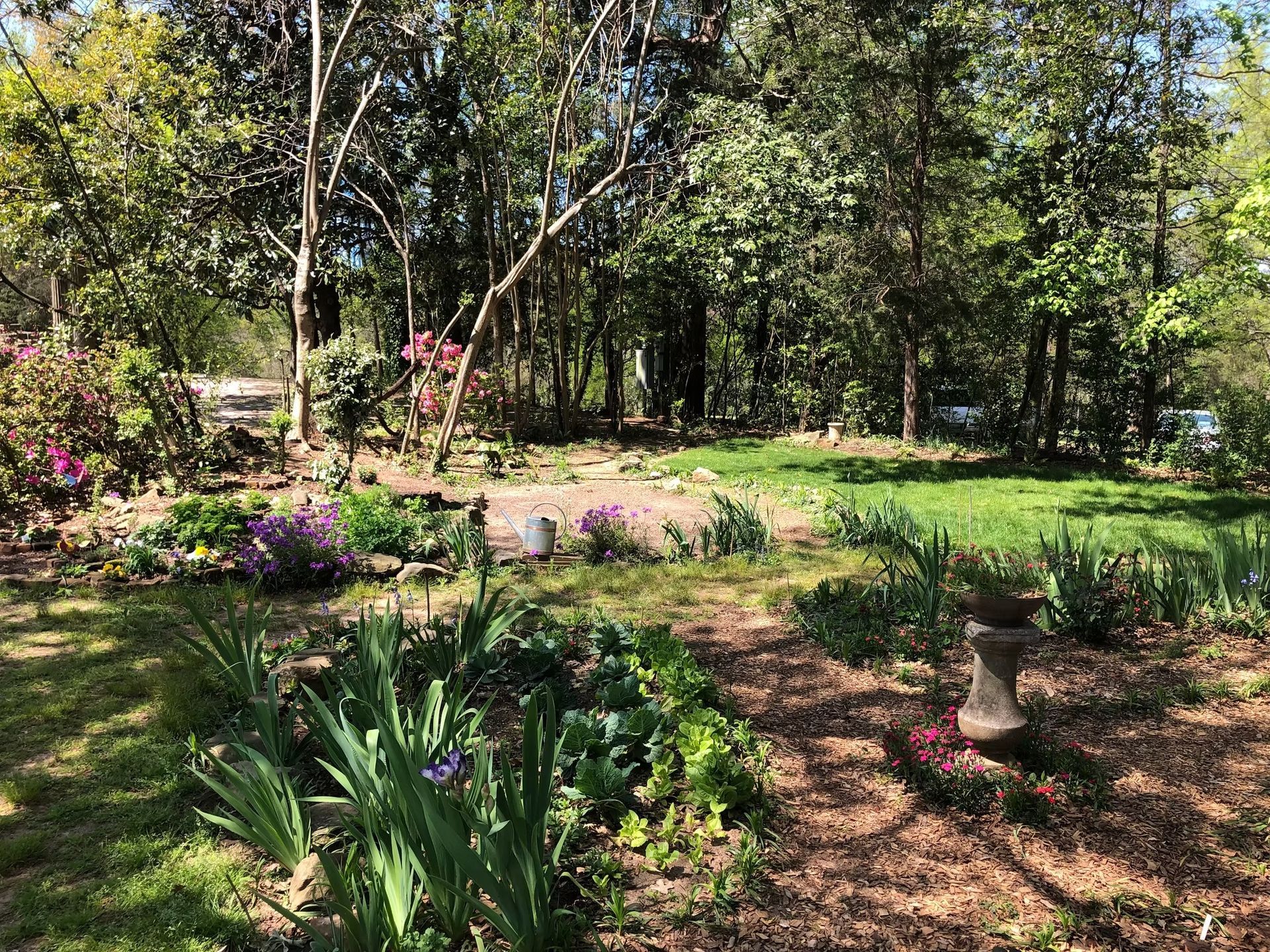 historic-tuscaloosa-image