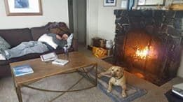 A dog is sitting in front of a fireplace in a living room.