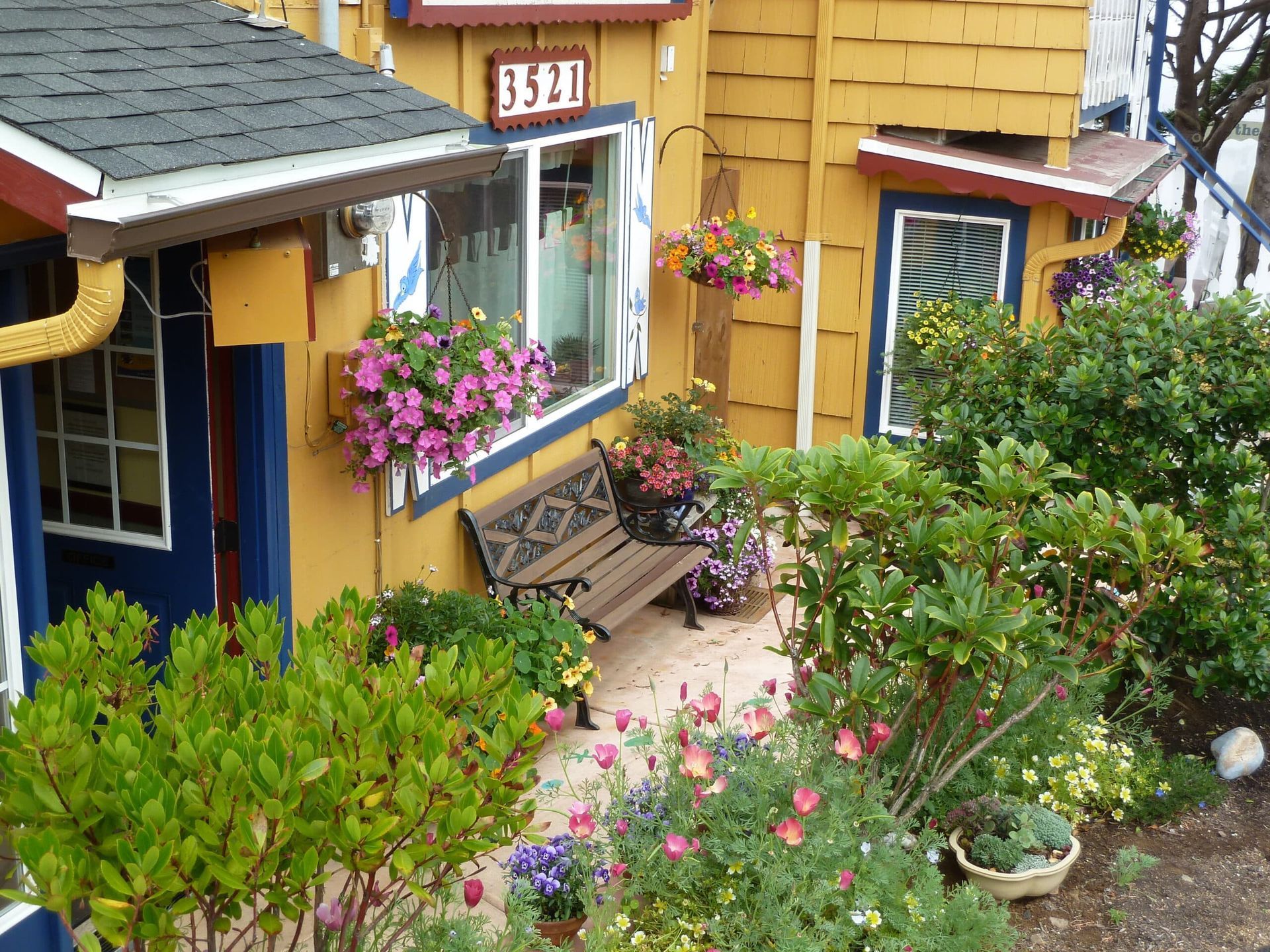 A yellow house with a sign that says feed on it