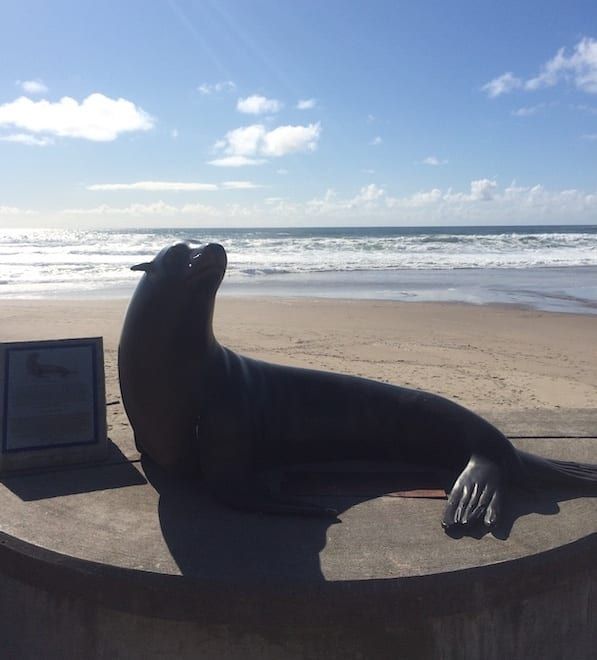 A statue of a seal on a beach next to a sign that says 