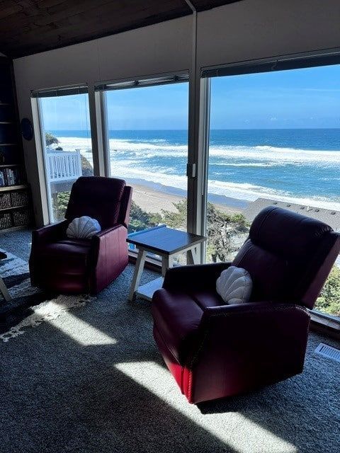 Two chairs in a living room with a view of the ocean