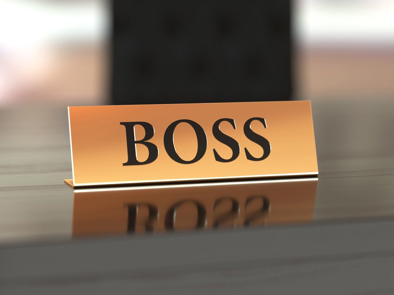 Name Badge — Livonia, MI — Livonia Trophy & Screenprinting