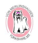 Yorkshire venta logo