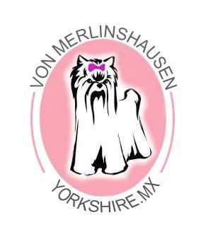 Yorkshire venta logo