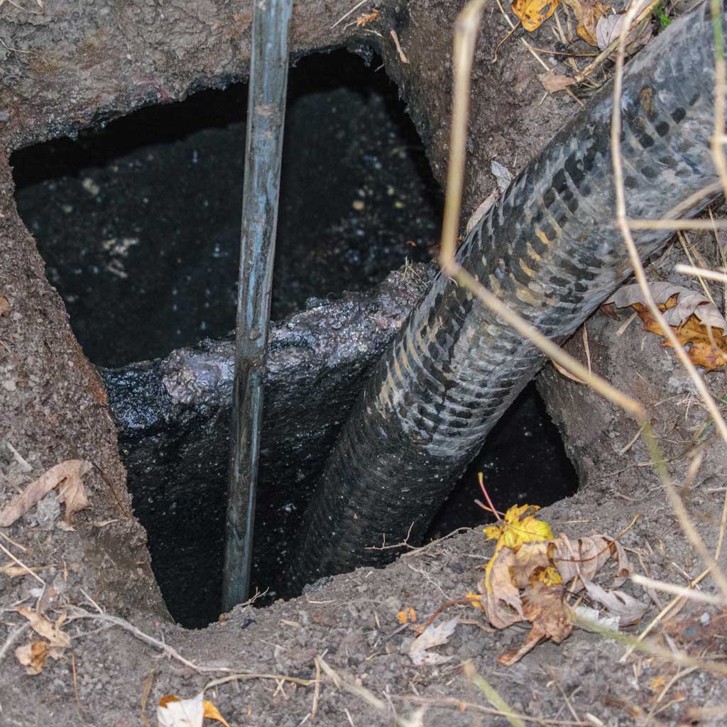 unblocking shower drain