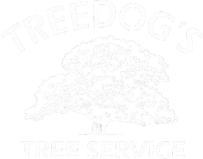 Faded logo of a tree with &ldquo;TREEDOGS&rdquo; above and &ldquo;TREE SERVICE&rdquo; below.