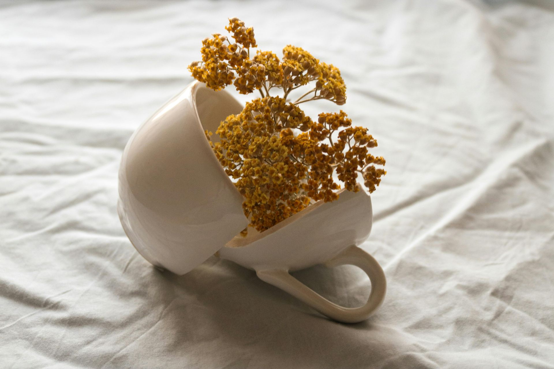 image of broken cup with yellow flowers