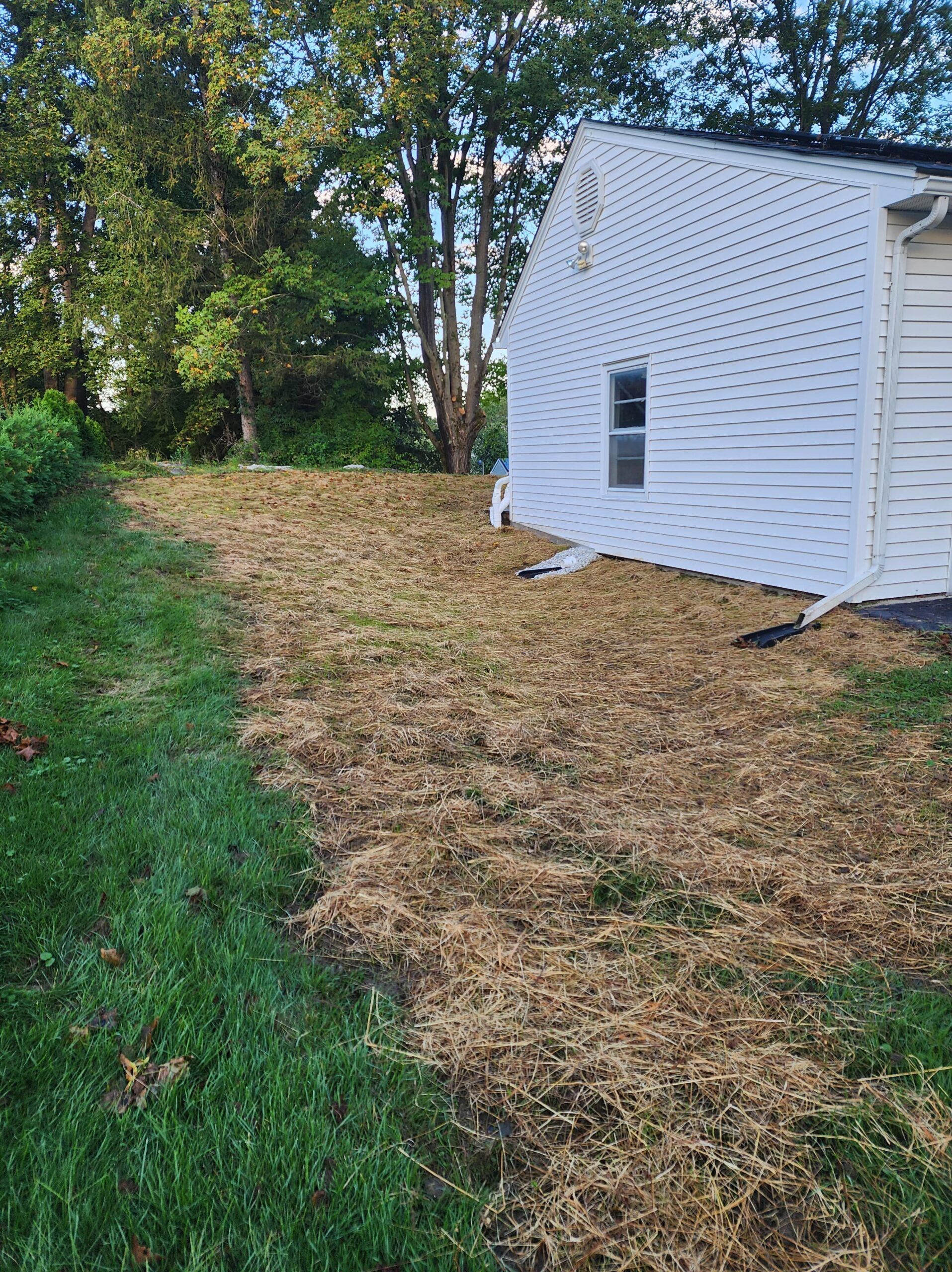 A white house is sitting on top of a lush green field.