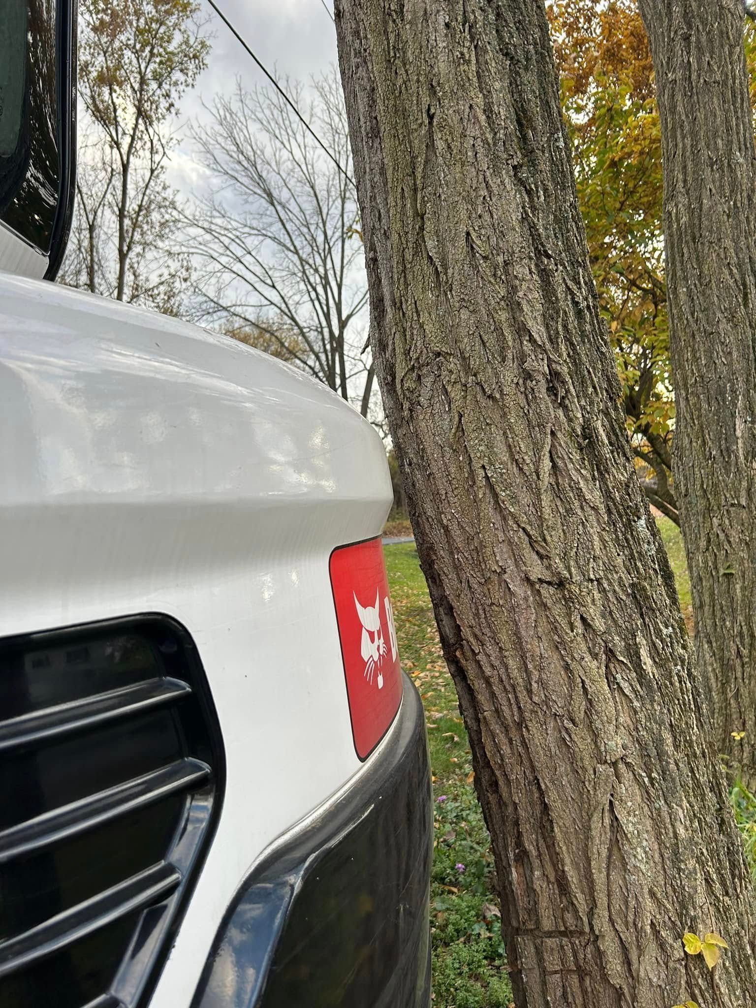 A white truck is parked next to a tree.