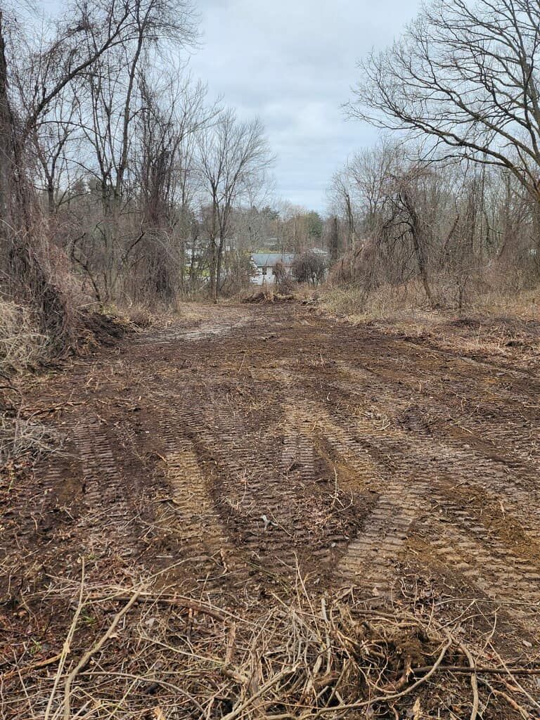 A dirt road in the middle of a forest with trees in the background.