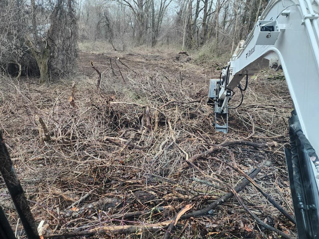 A bulldozer is cutting down trees in a forest.