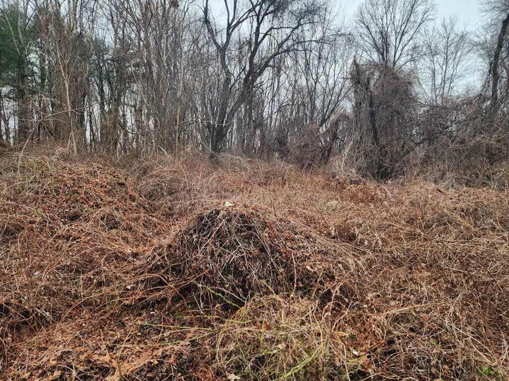A pile of dry grass in a field with trees in the background.