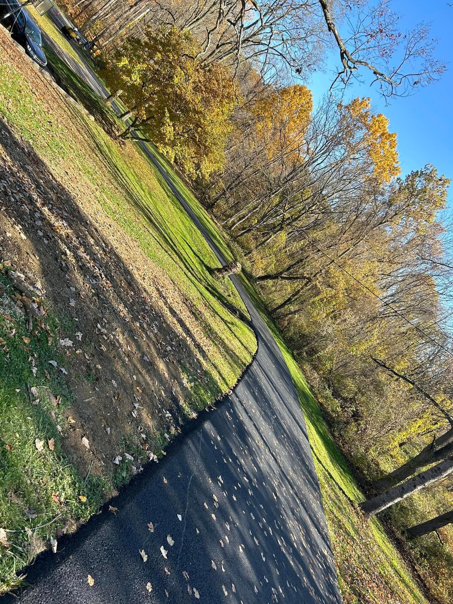 A dirt road going through a park with trees on both sides.
