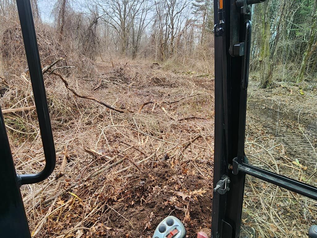 A person is driving a tractor in the woods.