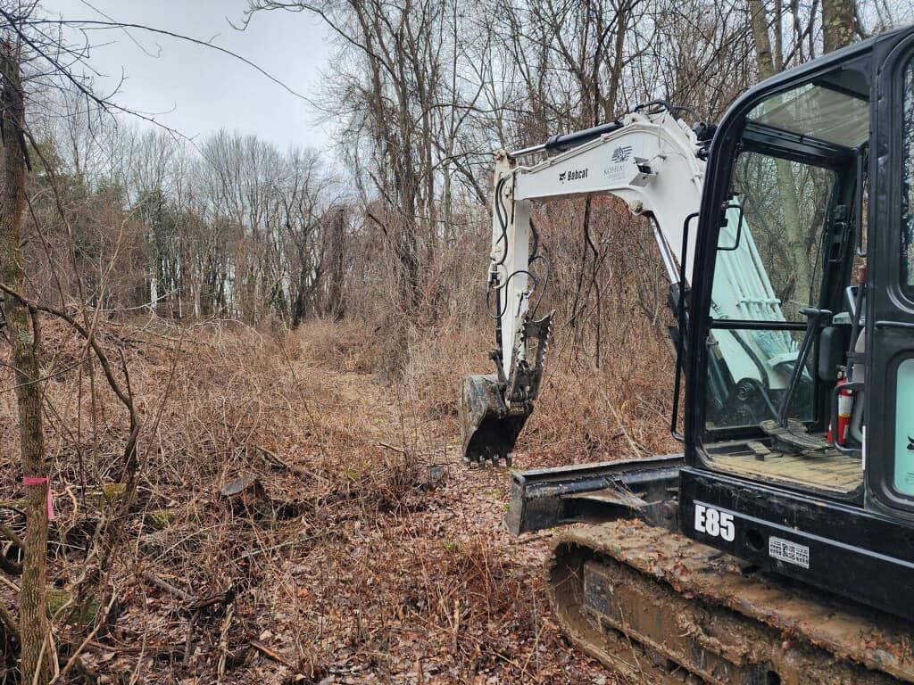 A small excavator is digging a hole in the middle of a forest.