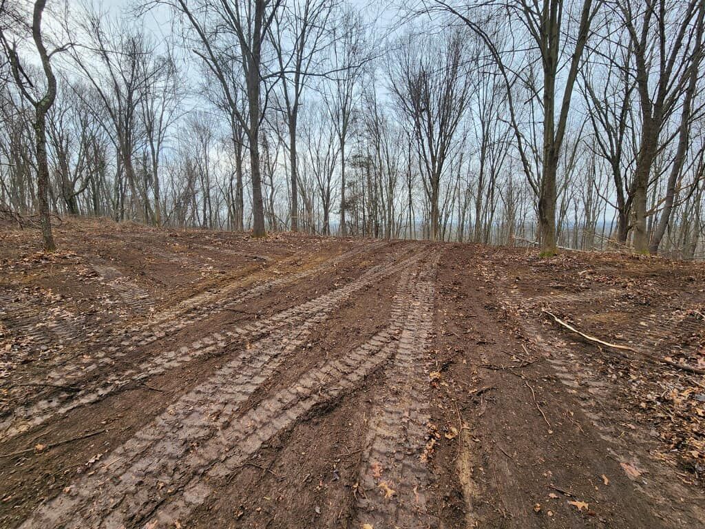 A dirt road in the middle of a forest with tire tracks.