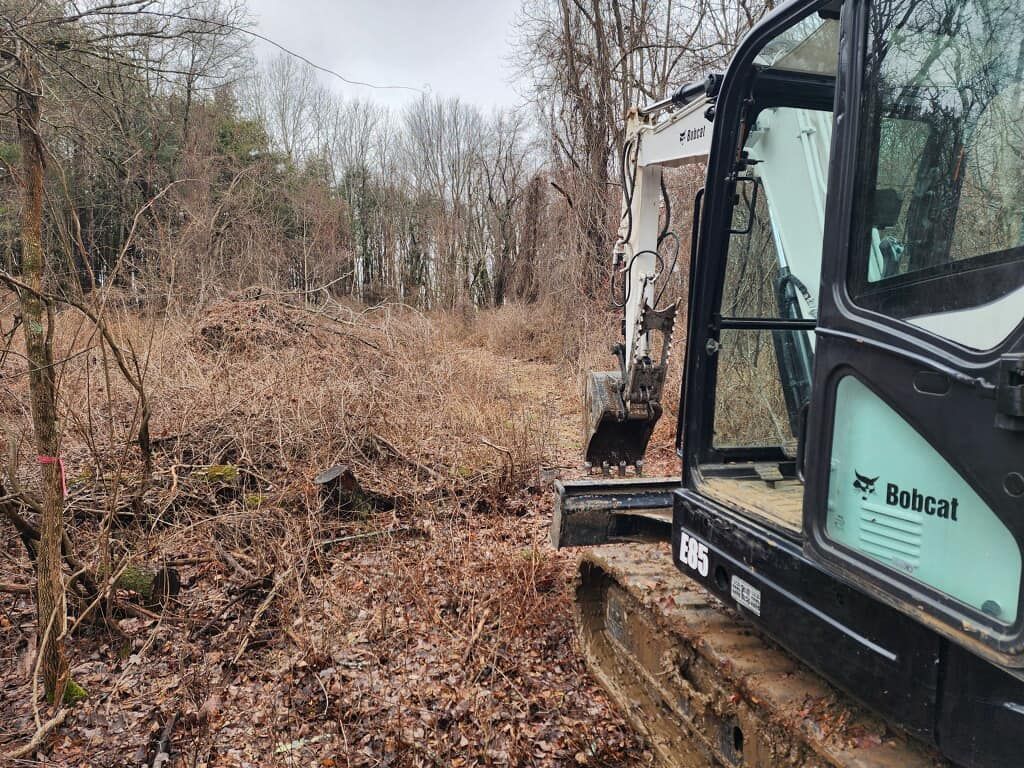 A bobcat excavator is digging a hole in the woods.