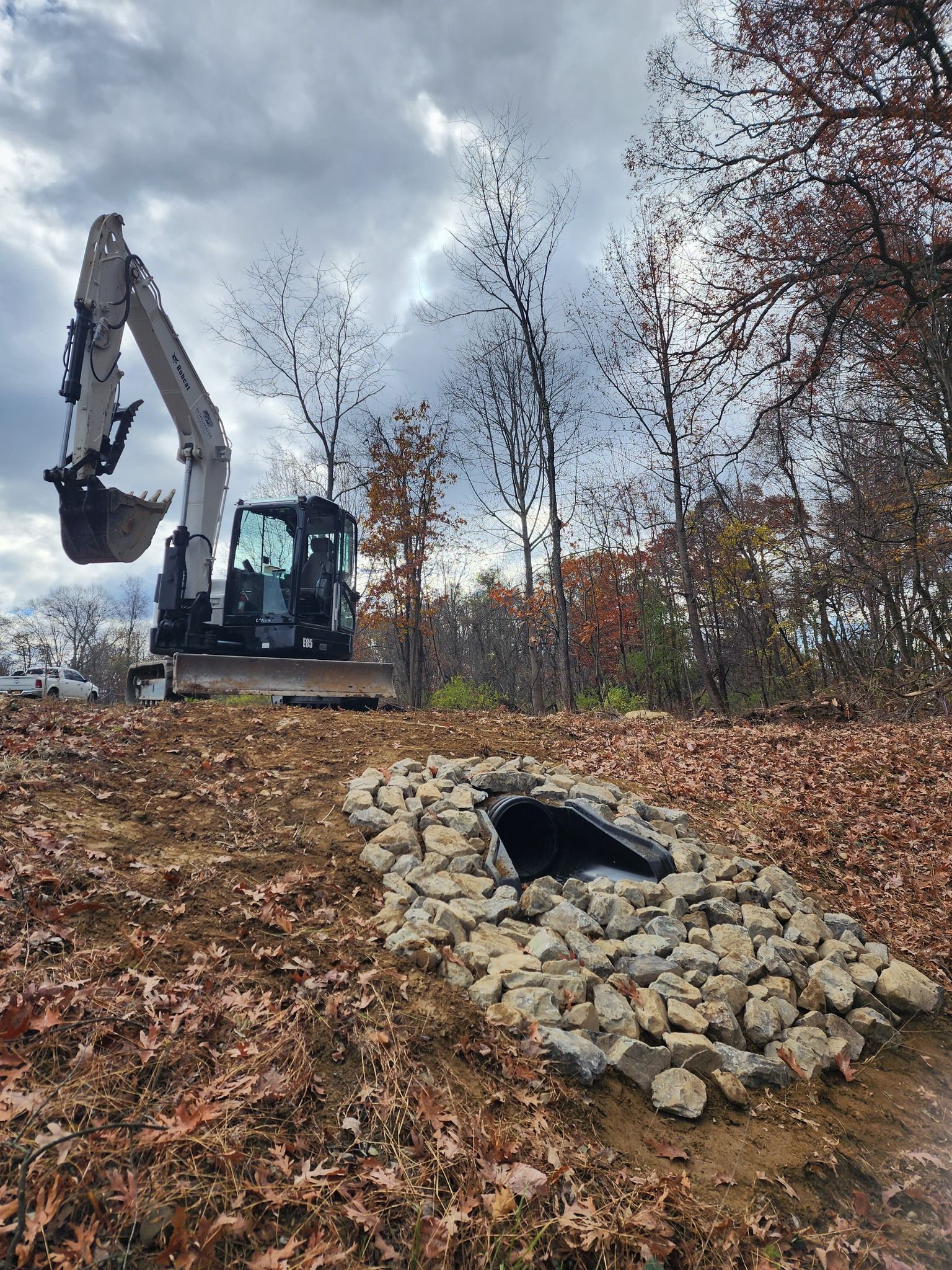 An excavator is digging a hole in the ground in the woods.