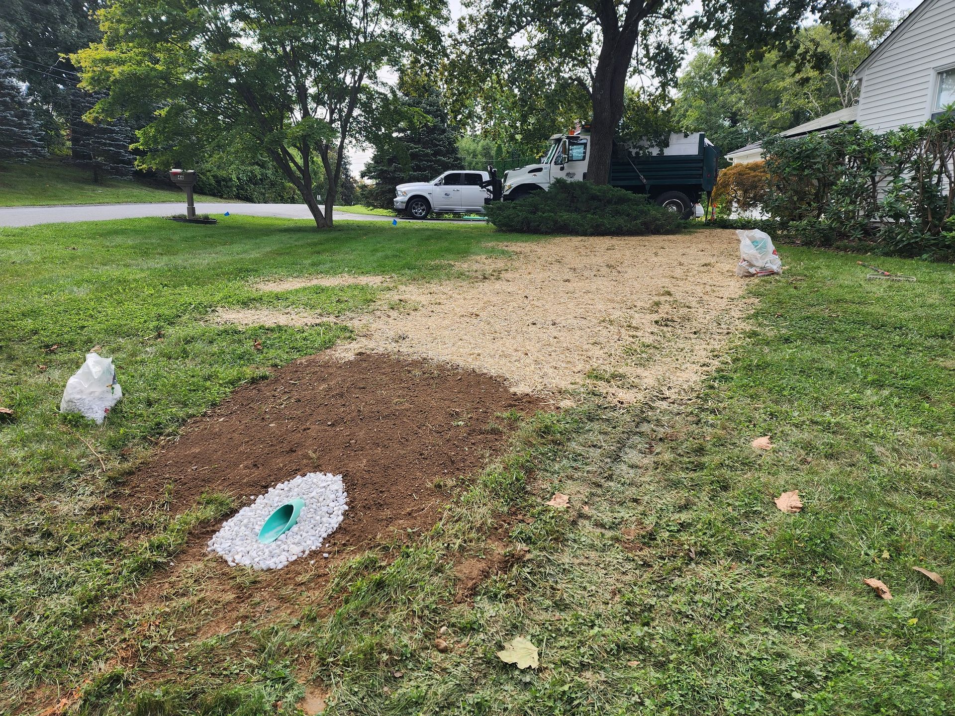 There is a hole in the grass in the middle of the yard.