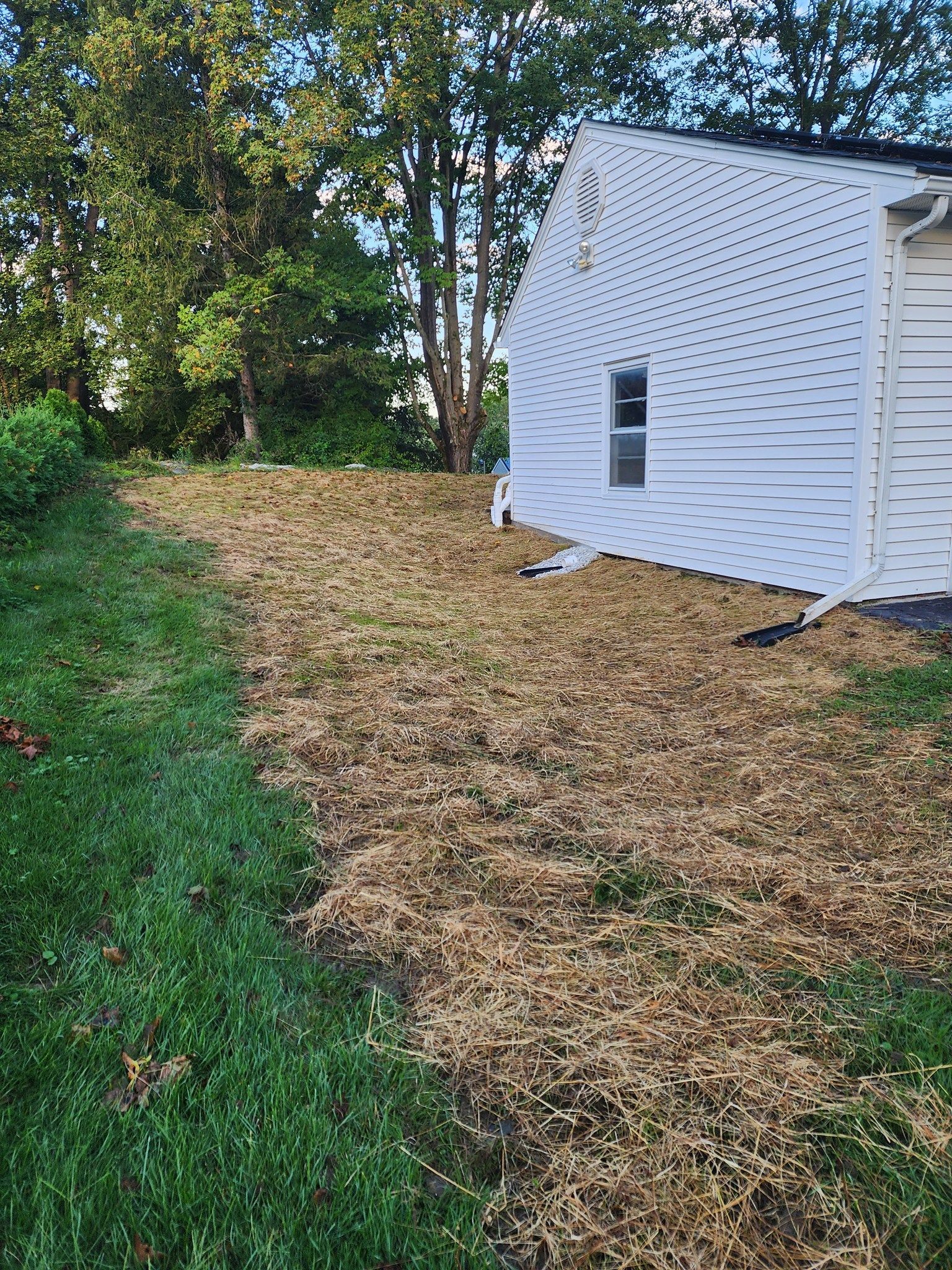 A white house is sitting on top of a lush green field.