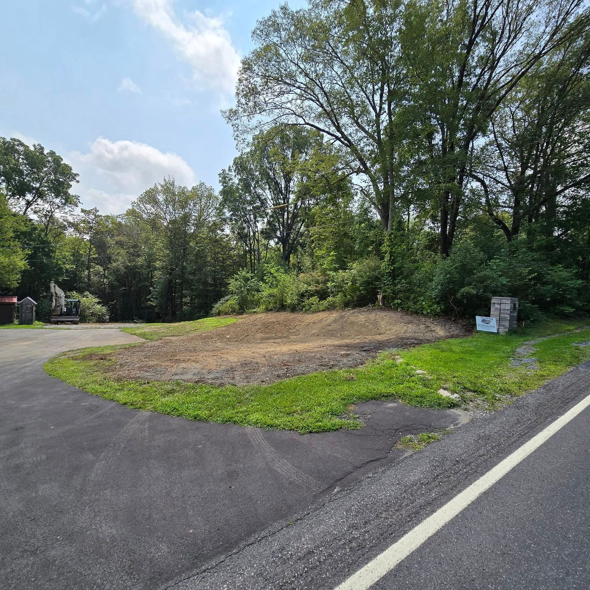 A road with a lot of grass and trees on the side of it